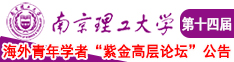 大鸡巴狠命地日逼南京理工大学第十四届海外青年学者紫金论坛诚邀海内外英才！